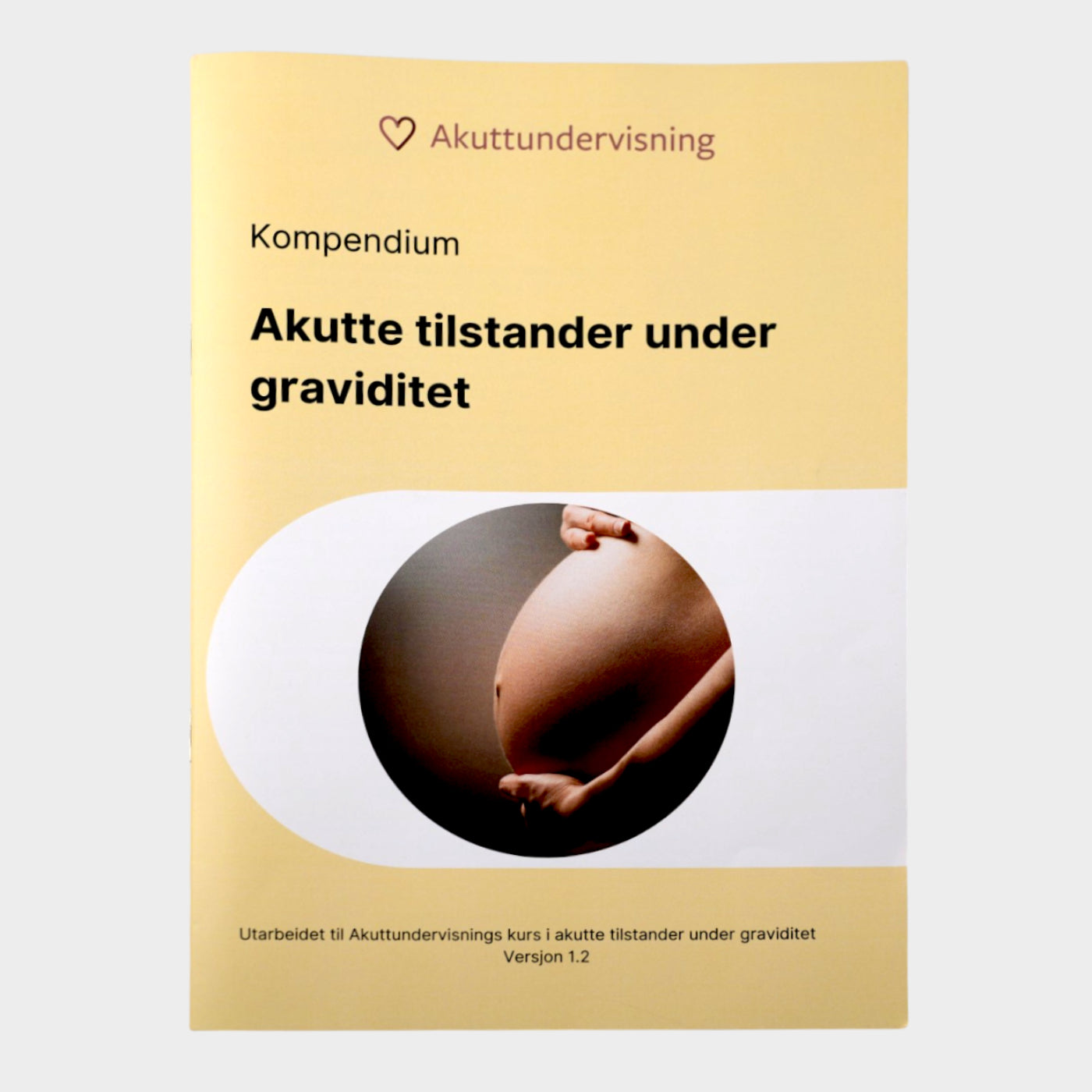Translation missing: nb.general.accessibility.slide_image